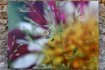 Zoom photo